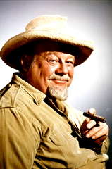 Burl Ives profile picture