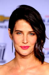 Cobie Smulders profile picture