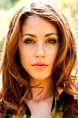 Amanda Crew profile picture