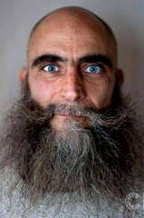 Andrea Loreni profile picture