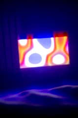 The Portal