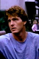 Tom Nolan profile picture