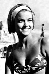 Patti Chandler profile picture