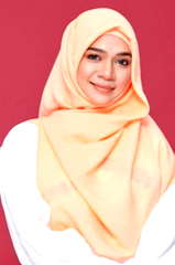 Diana Amir profile picture