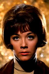 Linda Thorson profile picture