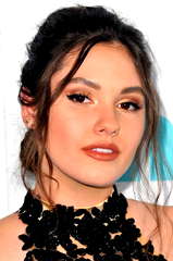 Ronni Hawk profile picture