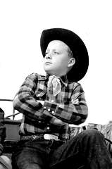 Don Stewart profile picture