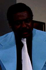 D'Urville Martin