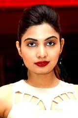 Avani Modi