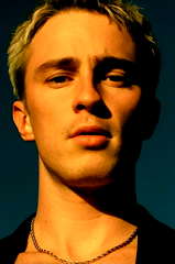 Drew Starkey profile picture