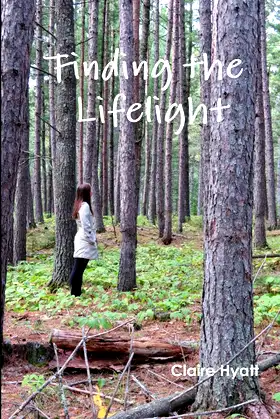 Finding The Lifelight poster