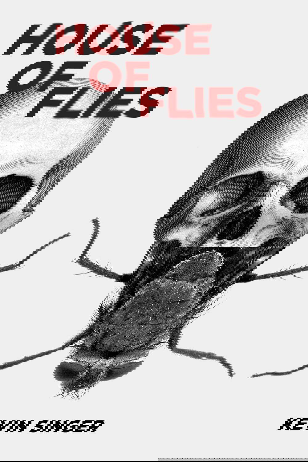 House of Flies poster