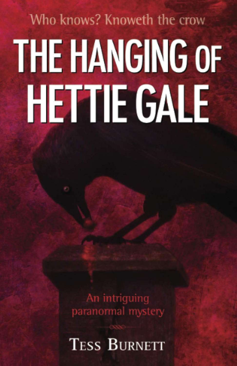 The Hanging of Hettie Gale poster
