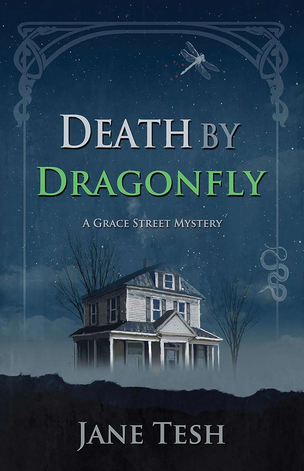 Death by Dragonfly (Grace Street Mysteries, 6) poster