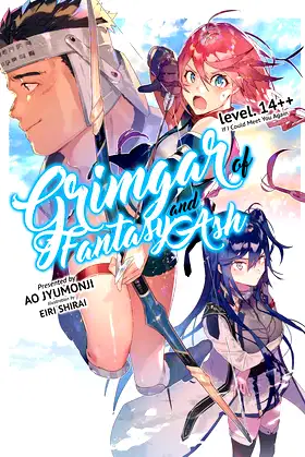 Grimgar of Fantasy and Ash: Volume 14++ (Light Novel) poster