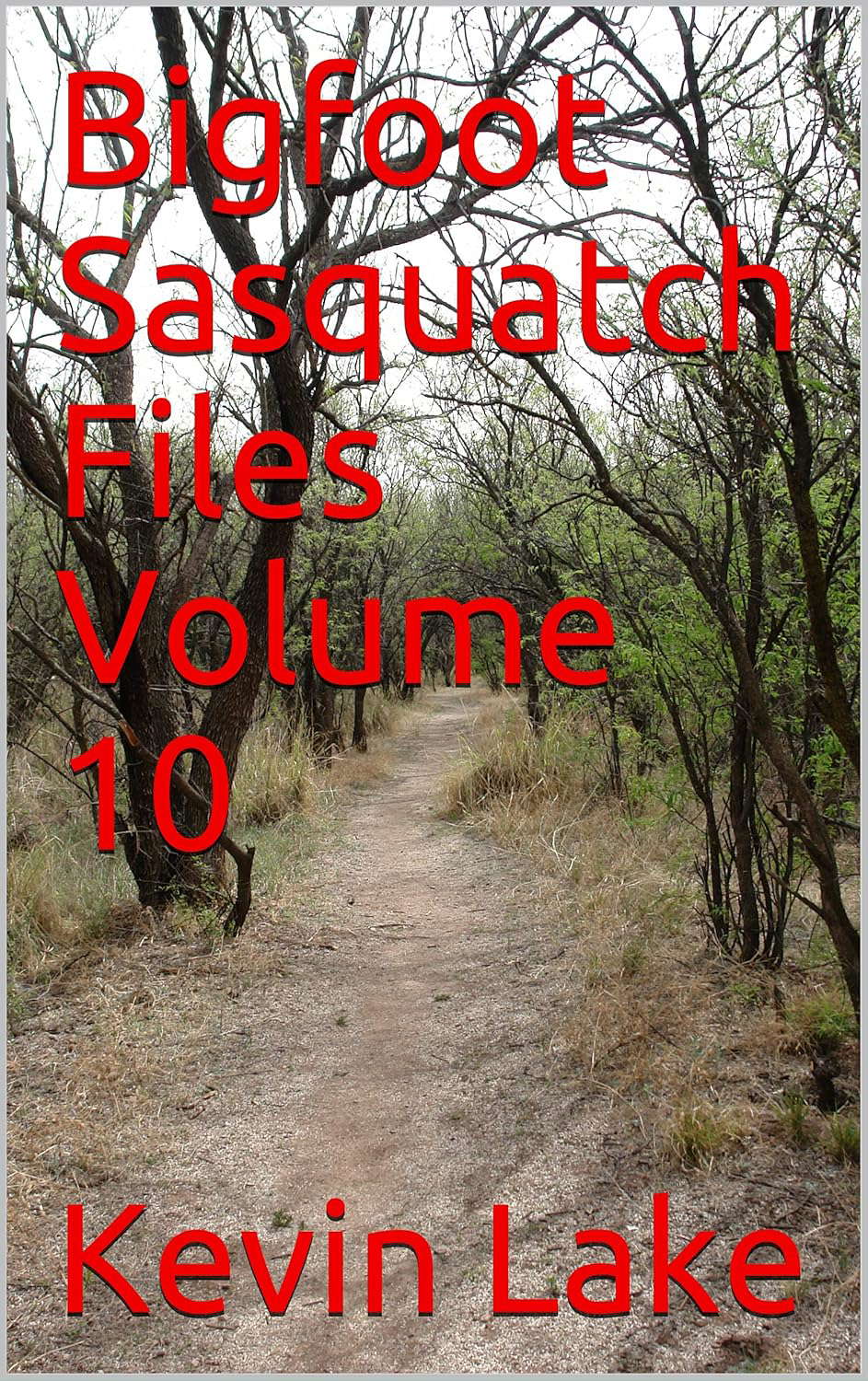 Bigfoot Sasquatch Files Volume 10 poster