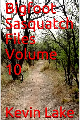 Bigfoot Sasquatch Files Volume 10 poster