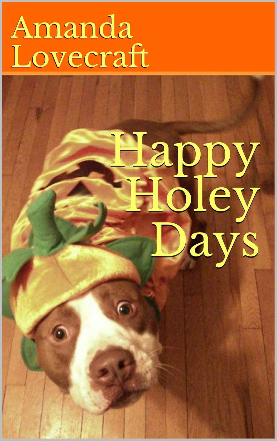 Happy Holey Days poster