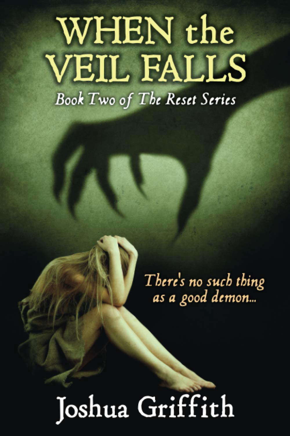 When the Veil Falls: Book Two of The Reset series poster