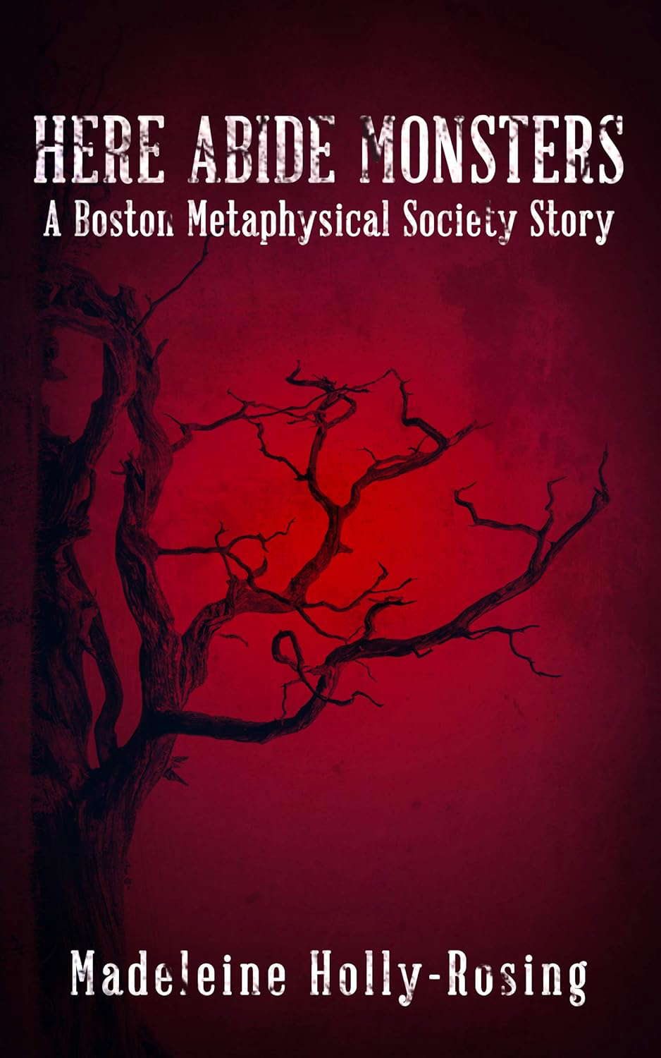 Here Abide Monsters: A Boston Metaphysical Society Story poster