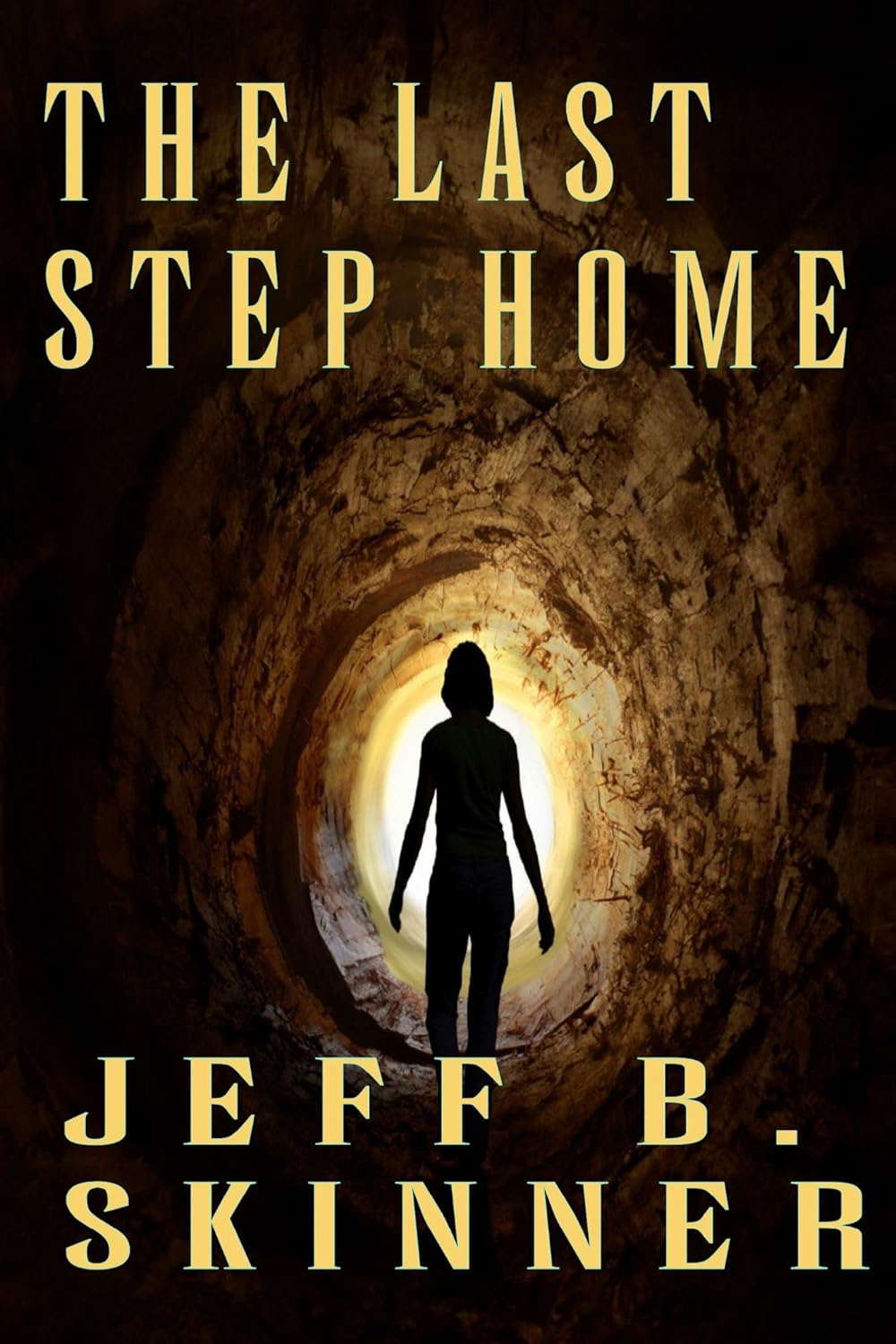 The Last Step Home poster