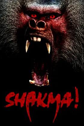 Shakma poster