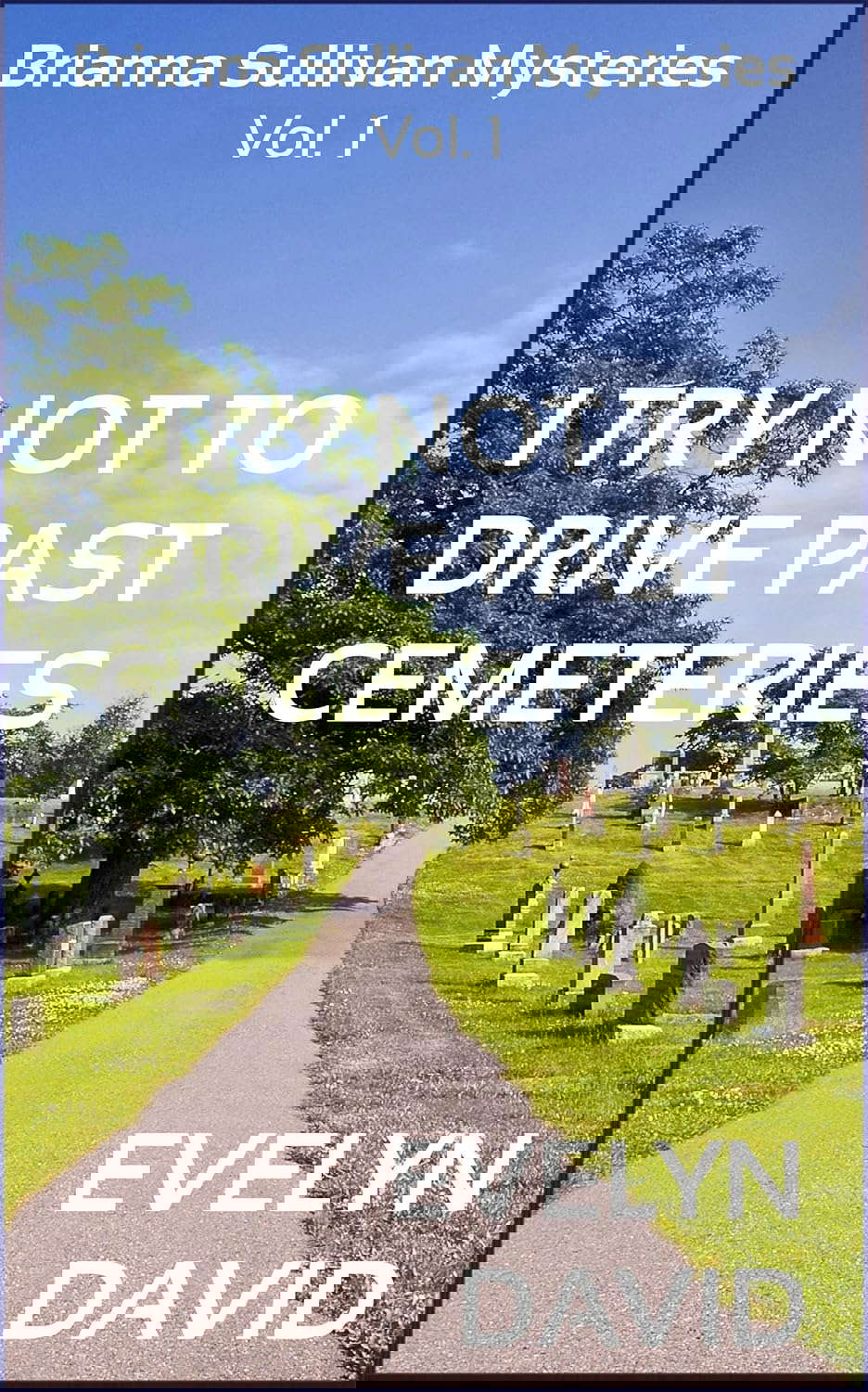 I Try Not To Drive Past Cemeteries (The Brianna Sullivan Mysteries Book 1) poster