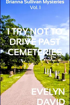 I Try Not To Drive Past Cemeteries (The Brianna Sullivan Mysteries Book 1) poster