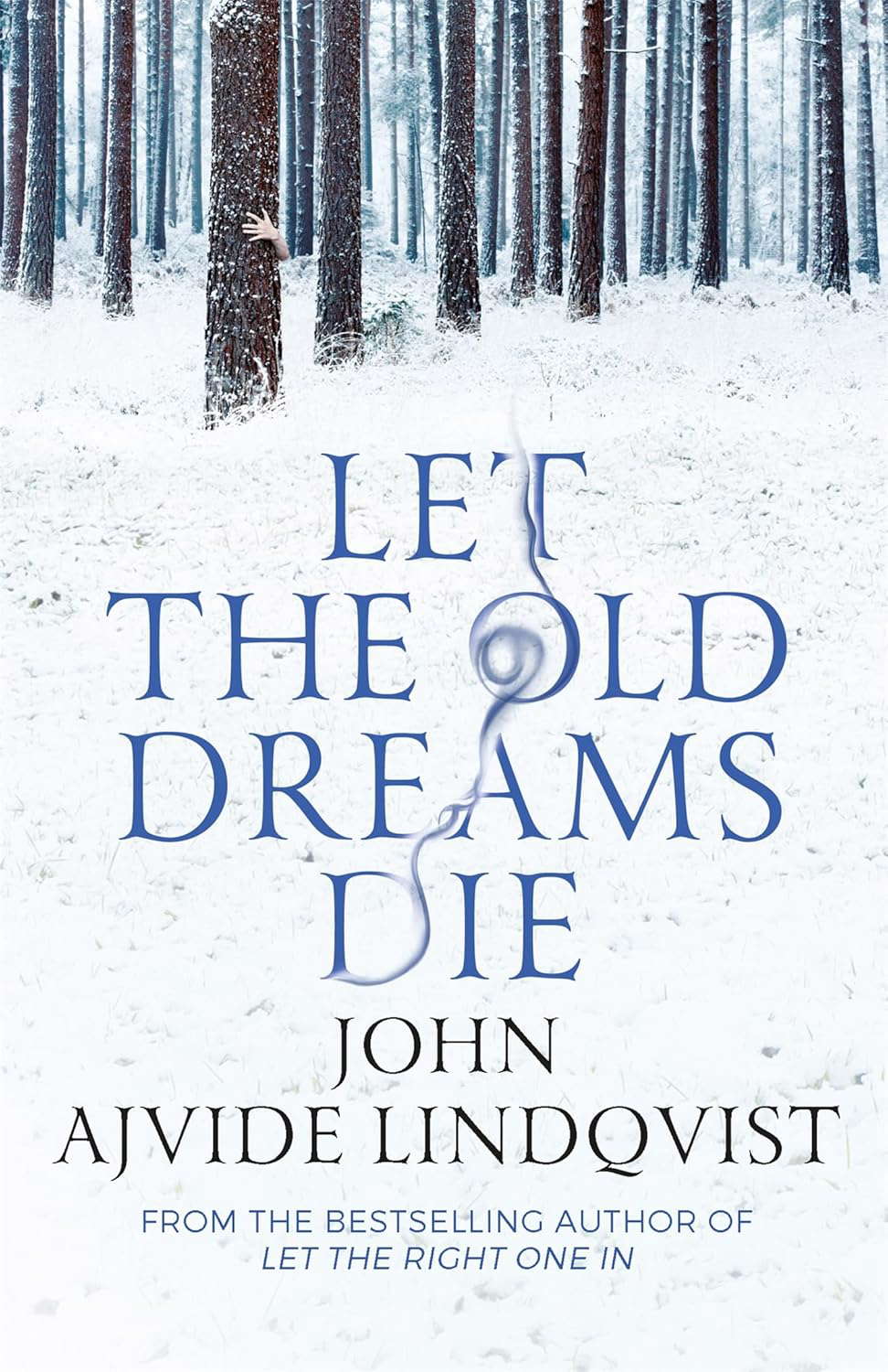 Let The Old Dreams Die poster