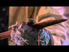 7 Mummies (Seven Mummies) (2006) - Trailer poster