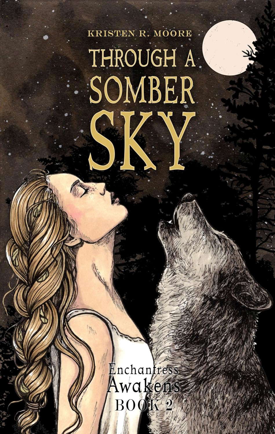Through a Somber Sky: Enchantress Awakens Book Two poster