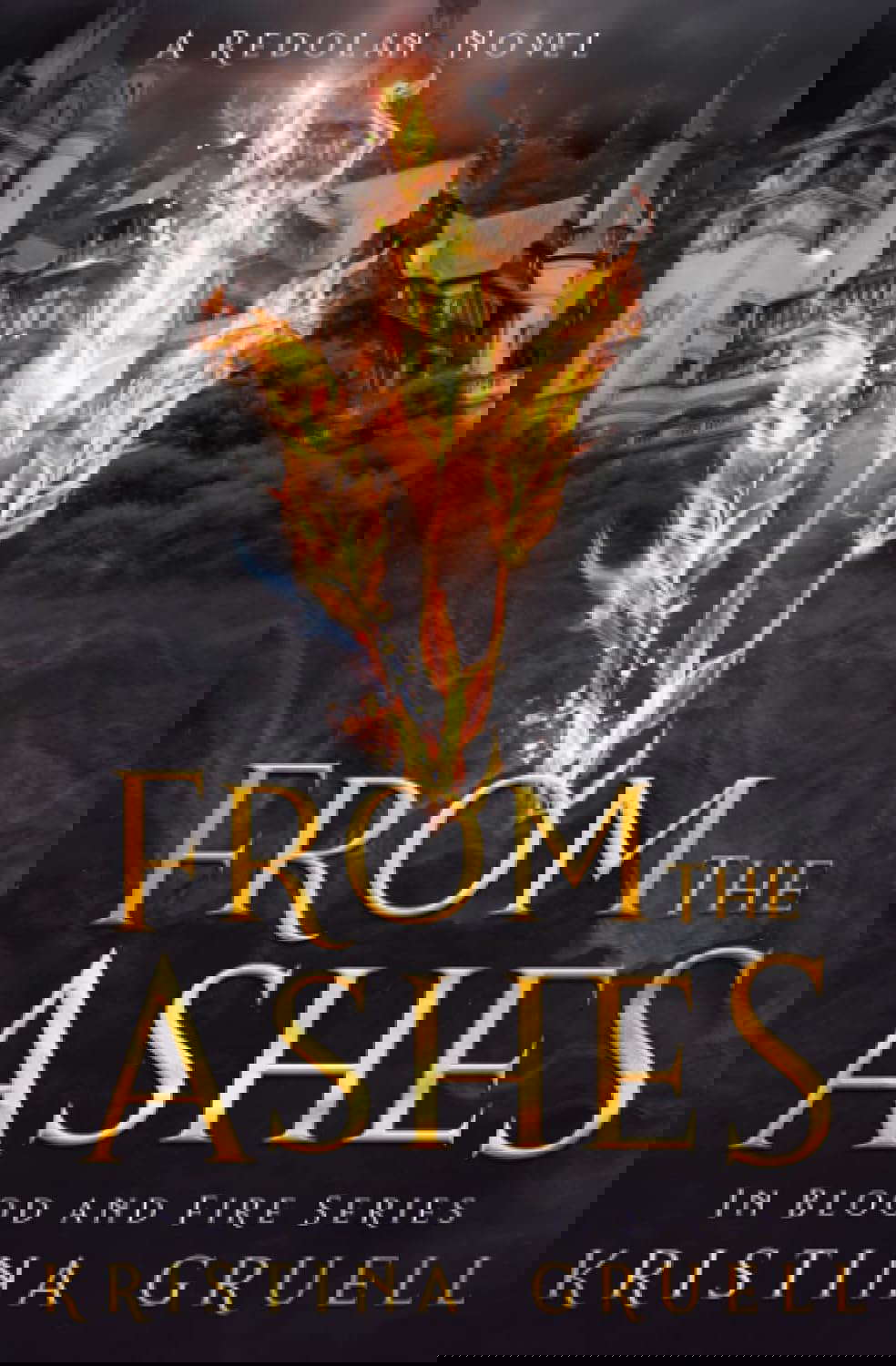 From the Ashes: Book One of the In Blood and Fire Series poster