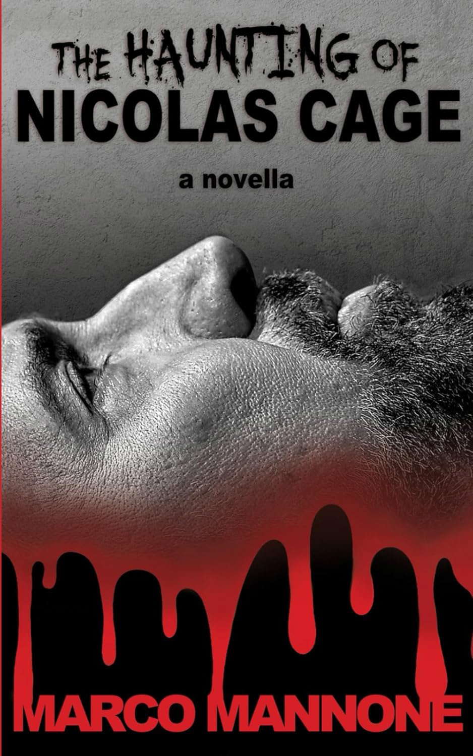 The Haunting of Nicolas Cage: a novella poster