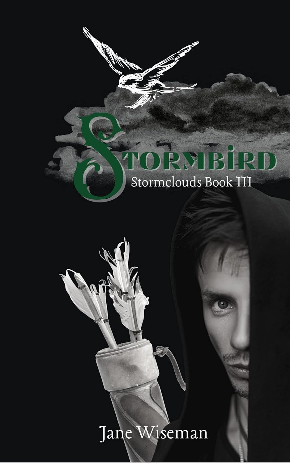 Stormbird: A fantasy novel of rebellion and treachery (Stormclouds Book 3) poster
