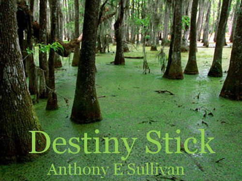 Destiny Stick poster