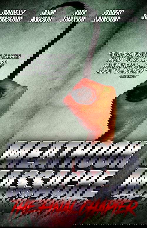 Meathook Massacre: The Final Chapter poster