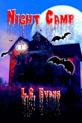 Night Camp poster