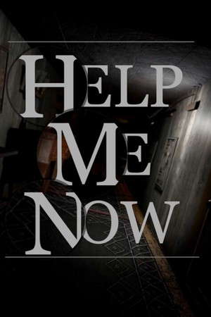 Help Me Now poster