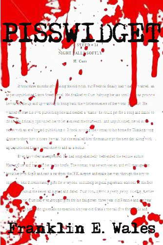 PISSWIDGET-a short story poster