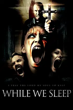 While We Sleep poster