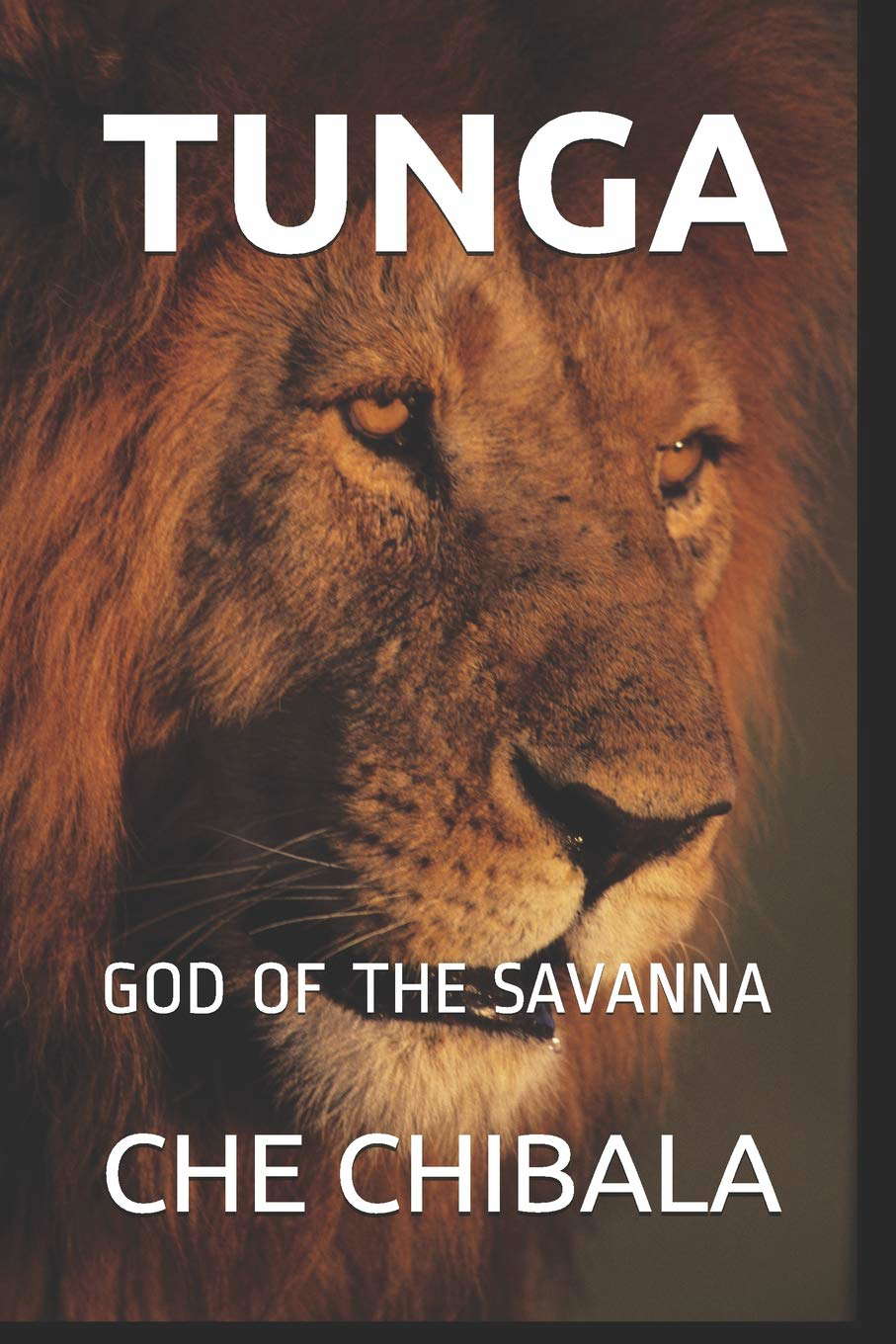 TUNGA: GOD OF THE SAVANNA poster