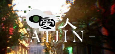 爱人：Aijin capsule
