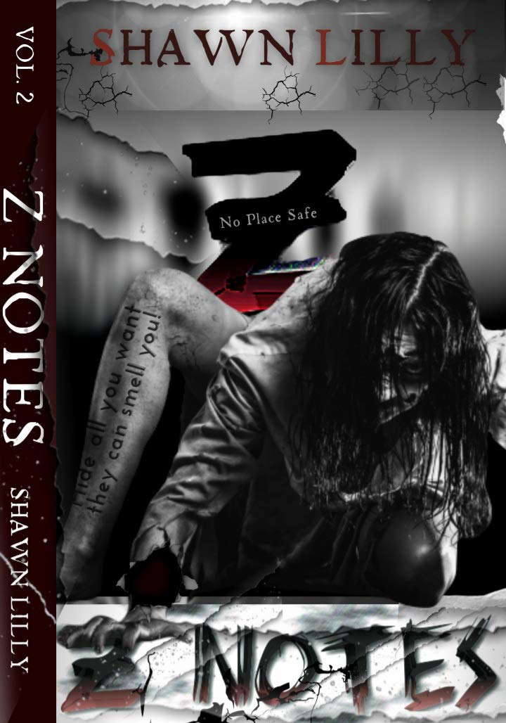 Z Notes: No Place Safe poster