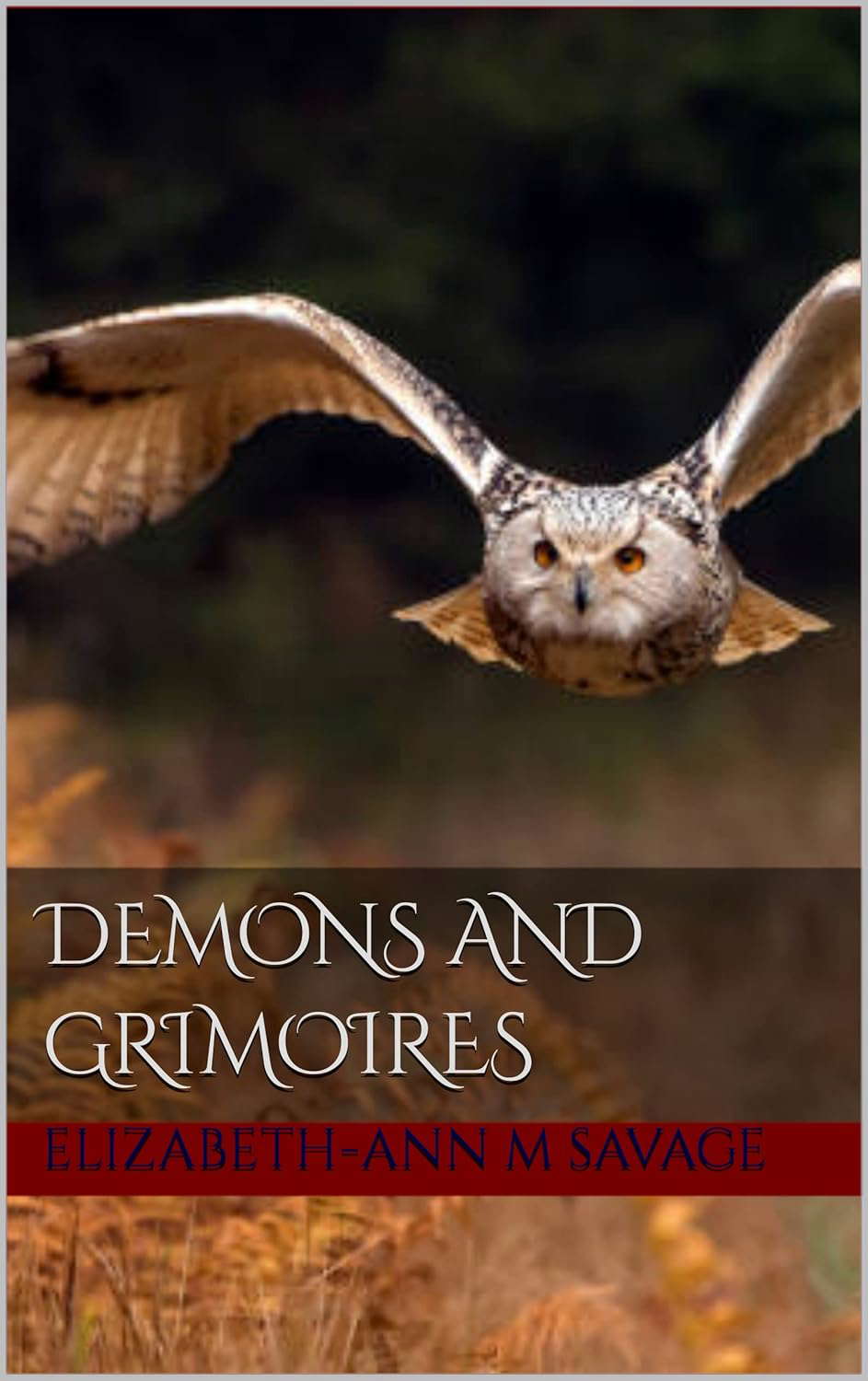 Demons and Grimoires (Jasief Cowel Blood Saga Book 2) poster