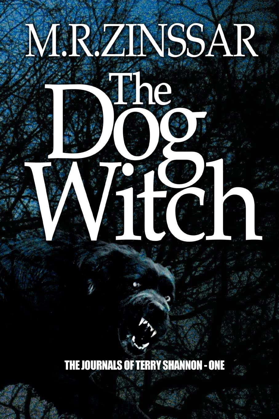 The Dog Witch: The Journeys of Terry Shannon poster