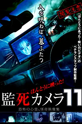Paranormal Surveillance Camera 11 poster