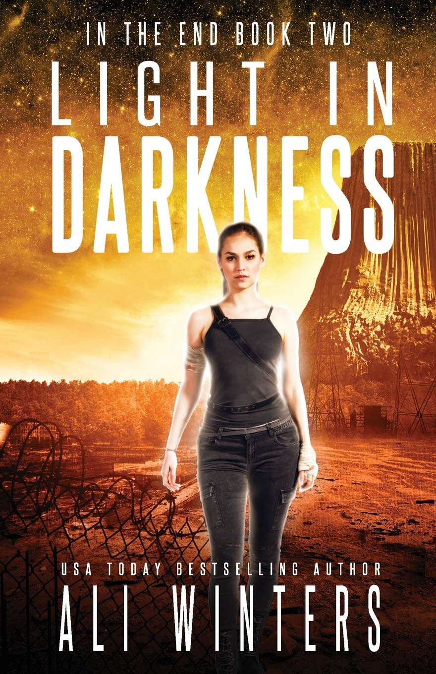 Light In Darkness (In The End duology) poster