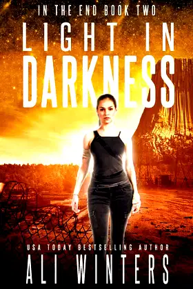 Light In Darkness (In The End duology) poster