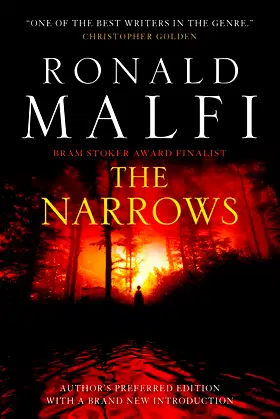 The Narrows poster