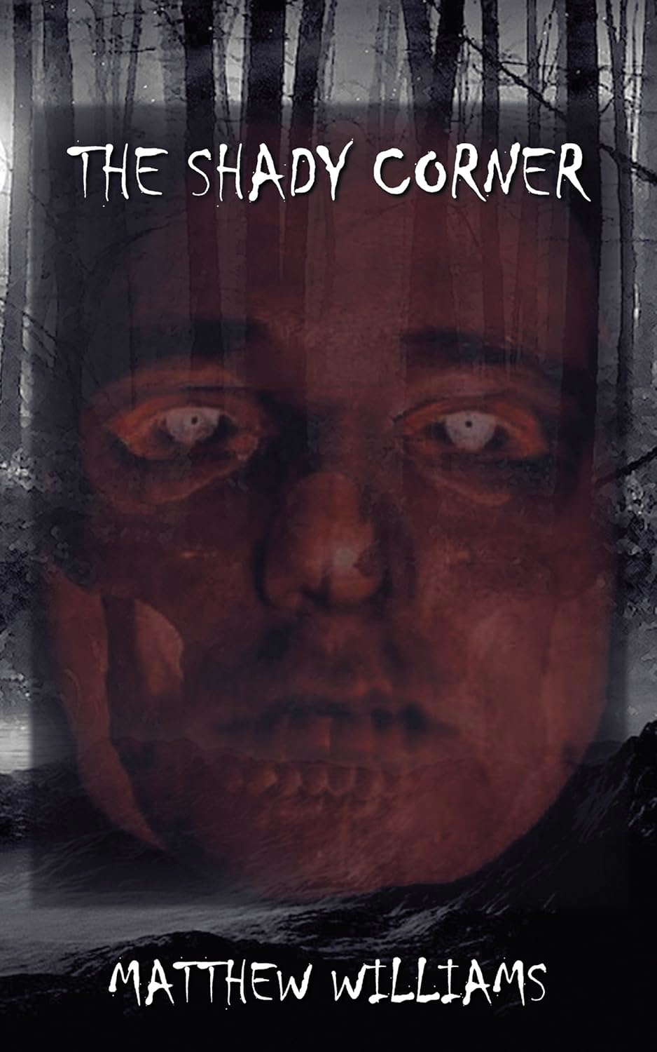 The Shady Corner poster